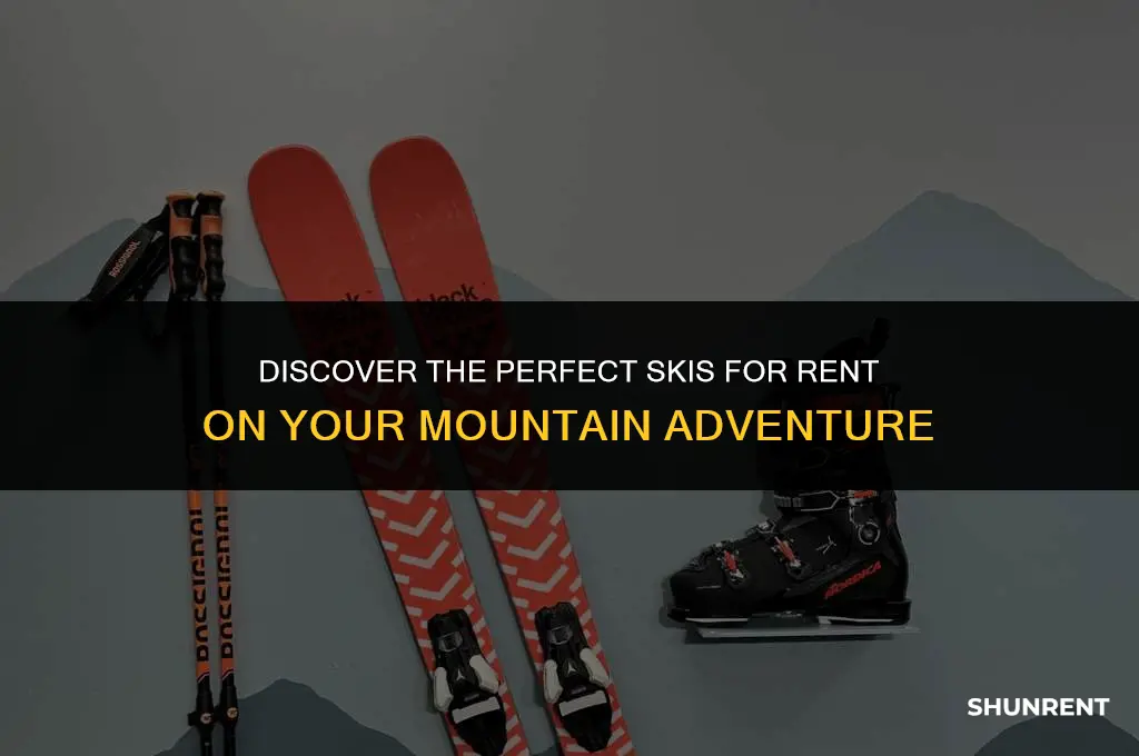what kind of skis do mountains rent