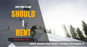 Choosing the Perfect Skis for Your Next Rental: A Comprehensive Guide