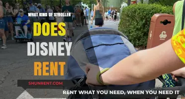 Exploring Disney: A Guide to Stroller Rentals for Your Magical Day