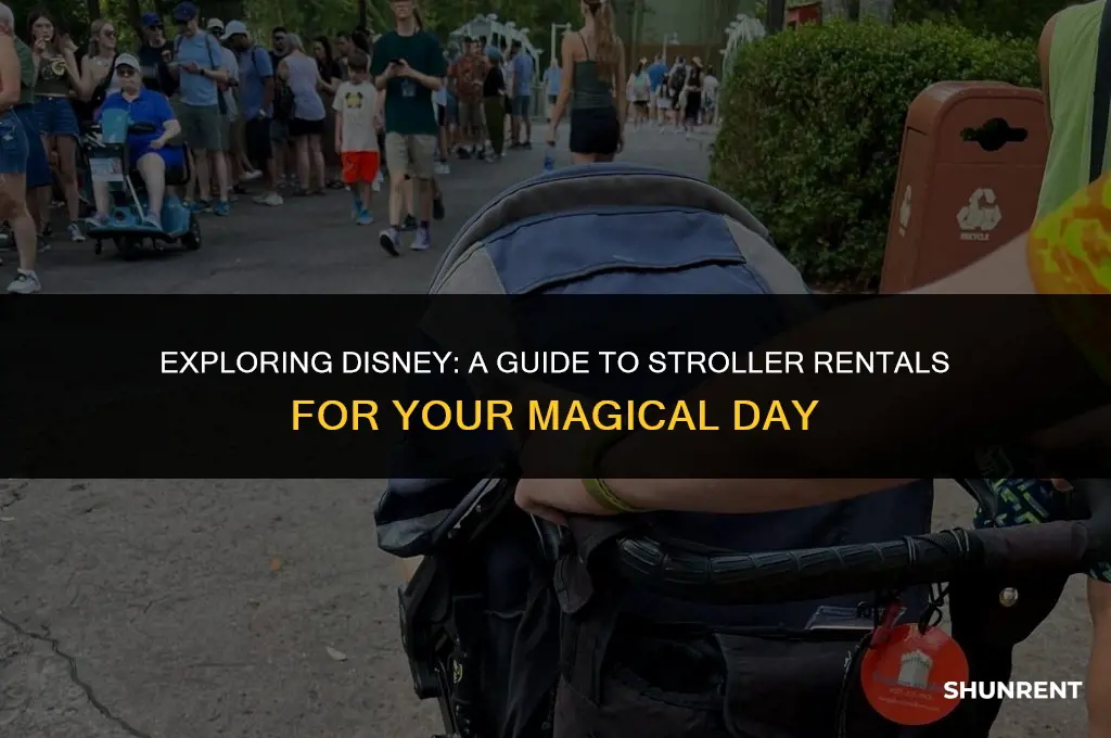 what kind of stroller does disney rent