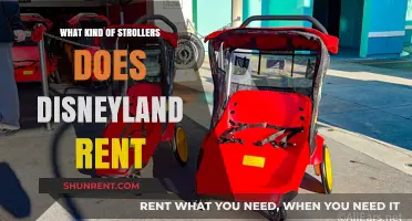 Exploring Disneyland: A Guide to Stroller Rentals for Your Magical Day
