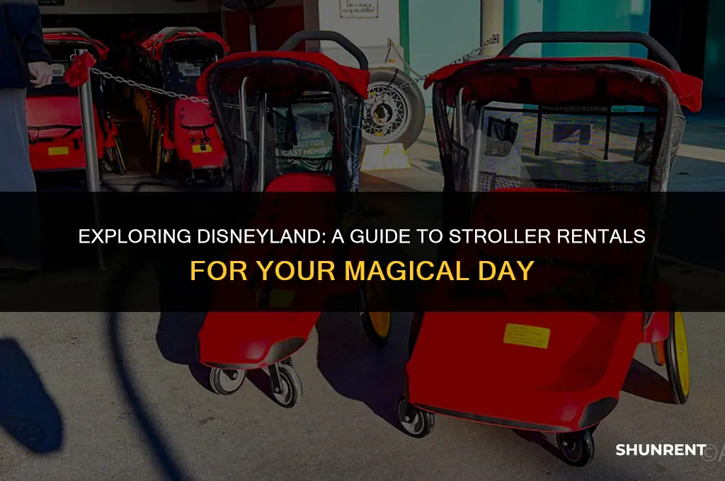 what kind of strollers does disneyland rent