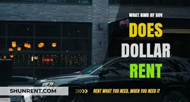 Exploring Dollar Rent-A-Car's SUV Fleet: Options and Features