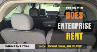 Exploring Enterprise's Fleet: A Guide to Their SUV Rentals