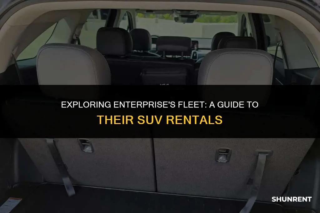 what kind of suv does enterprise rent