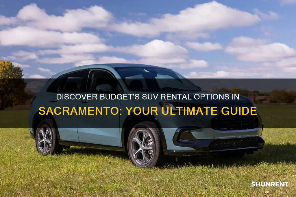what kind of suvs does budget rent in sacramento