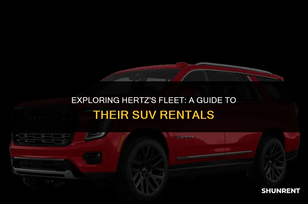 what kind of suvs does hertz rent
