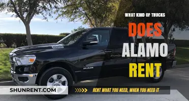 Exploring Alamo's Fleet: A Guide to Their Truck Rental Options
