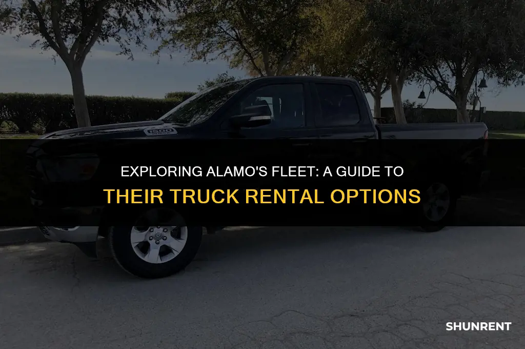 what kind of trucks does alamo rent