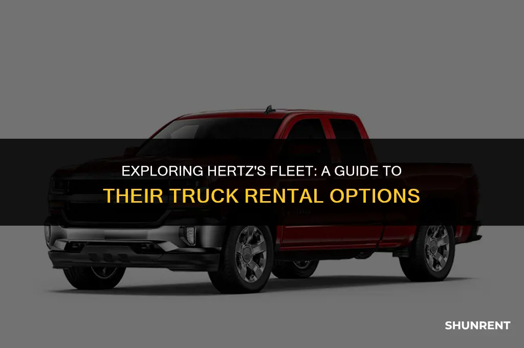 what kind of trucks does hertz rent