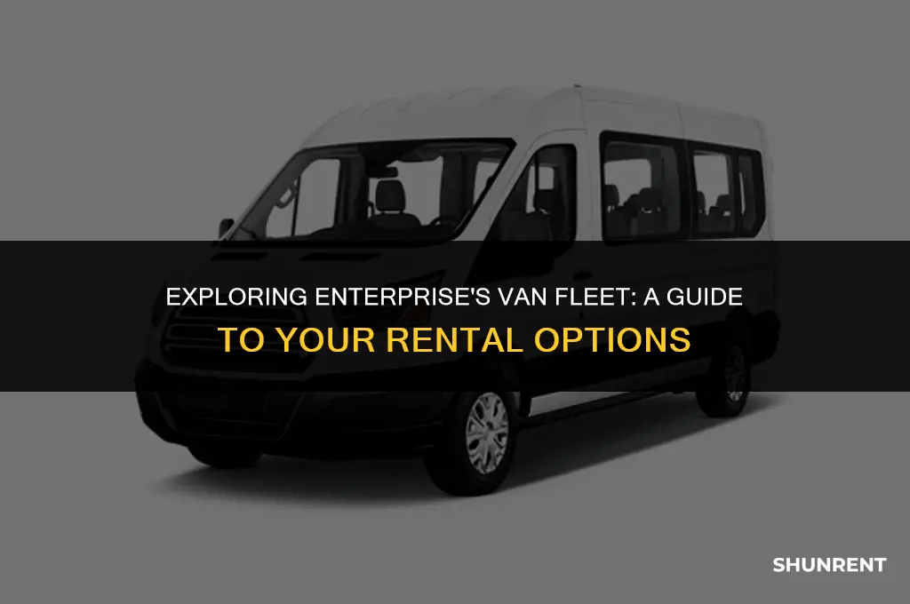 what kind of vans does enterprise rent