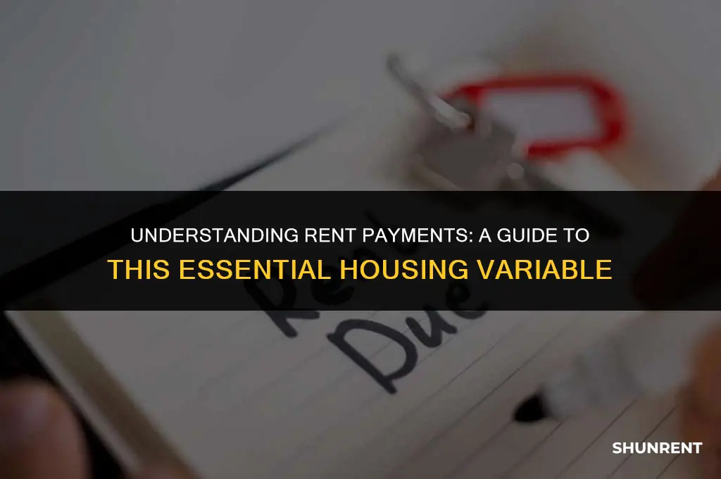 what kind of variable is rent payment