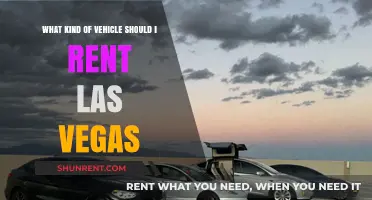 Choosing the Perfect Rental Vehicle for Your Las Vegas Adventure