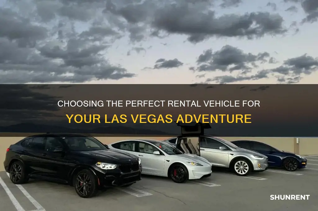 what kind of vehicle should i rent las vegas