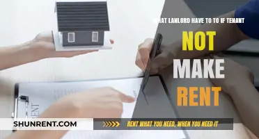 Tenant Not Paying Rent? Essential Steps Landlords Must Take Immediately