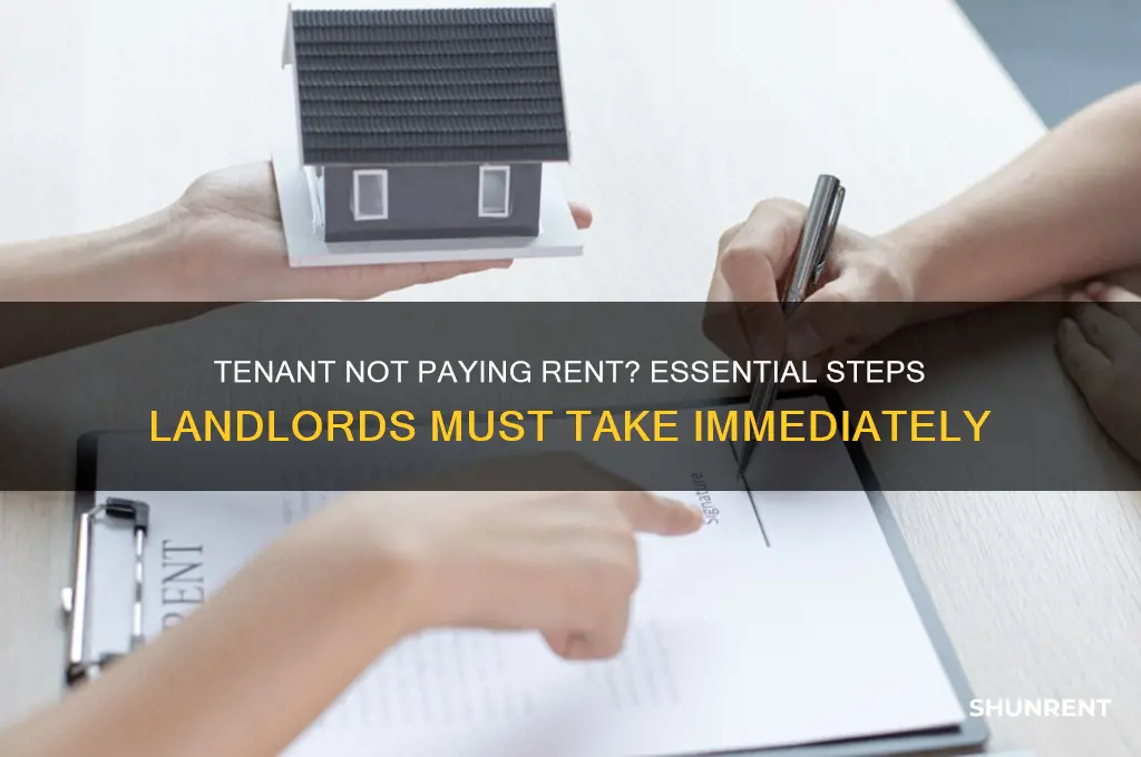 what lanlord have to to if tenant not make rent