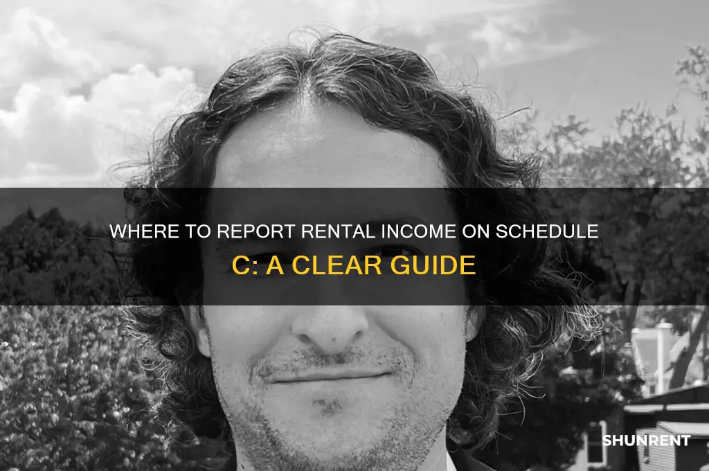 what line does rent go on schedule c