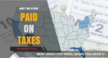 Understanding Rental Income: Where Rent Meets Tax Lines