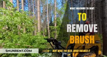 Efficient Brush Removal: Choosing the Right Machine for Rent