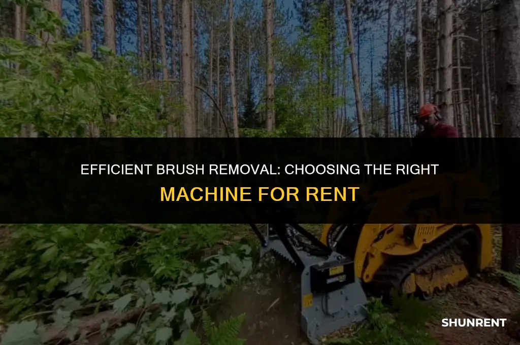 what machine to rent to remove brush