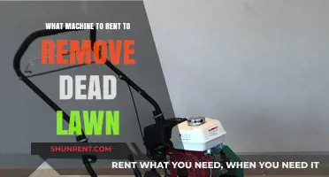 Revive Your Lawn: Best Machine Rentals for Dead Grass Removal