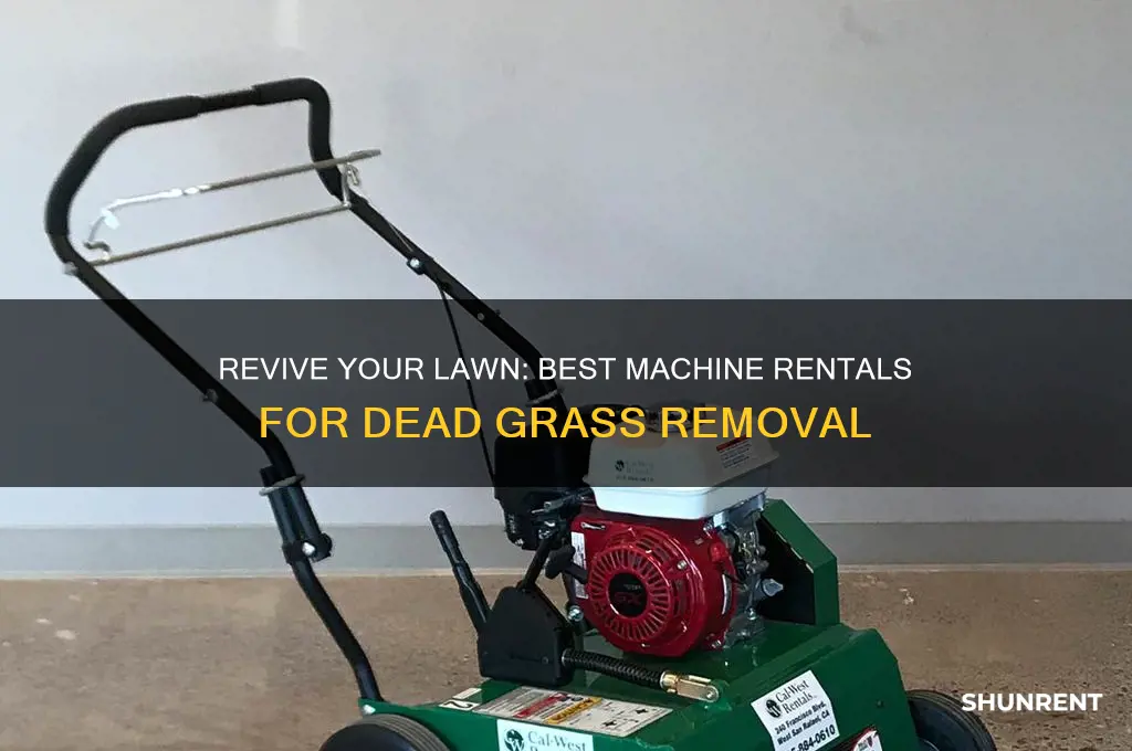 what machine to rent to remove dead lawn