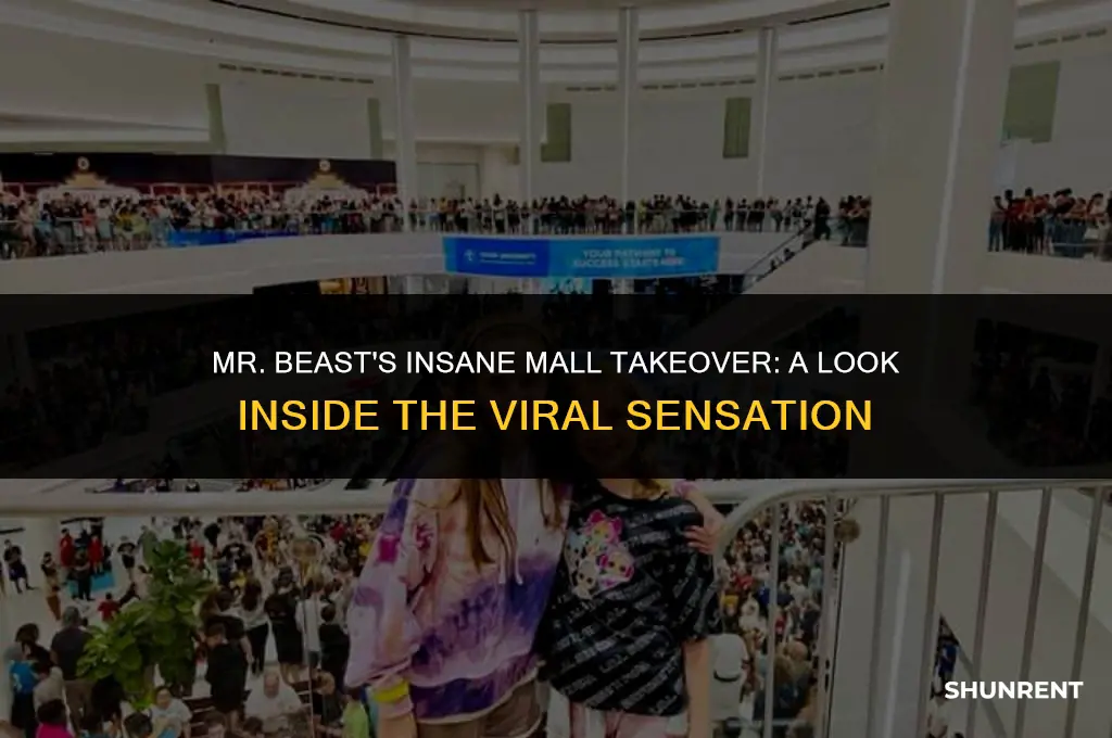 what mall did mr beast rent out