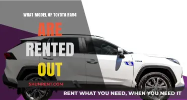 Discover the Most Common Toyota RAV4 Rental Models Available