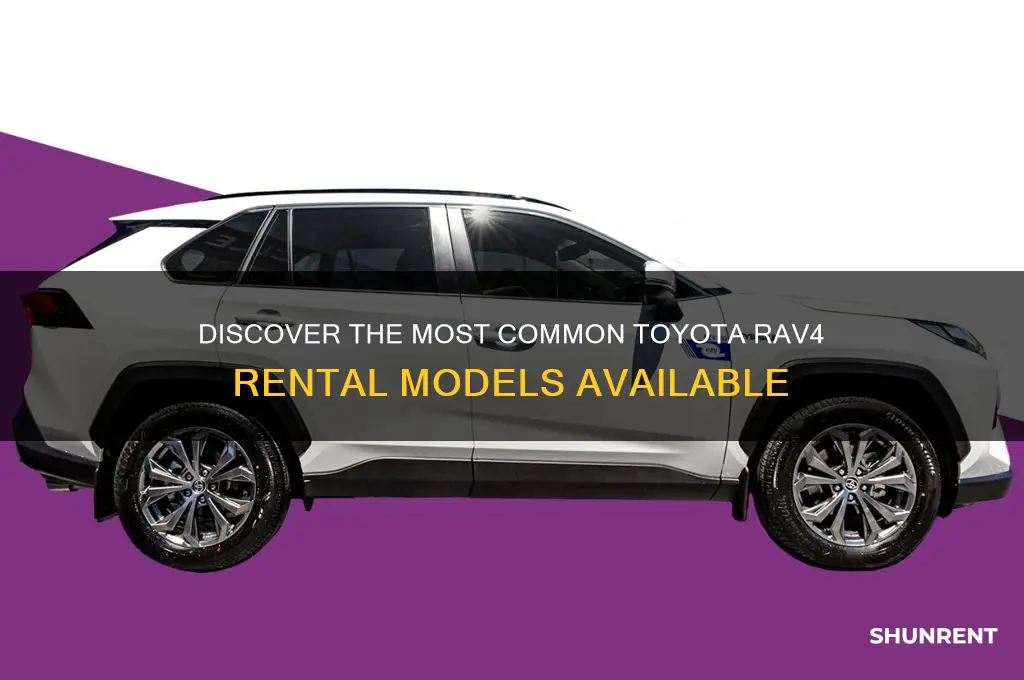 what model of toyota rav4 are rented out
