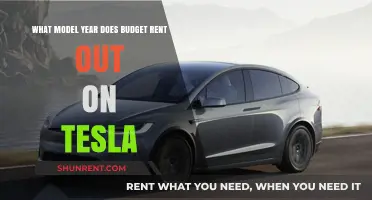 Budget's Tesla Rental Fleet: Model Years and What to Expect