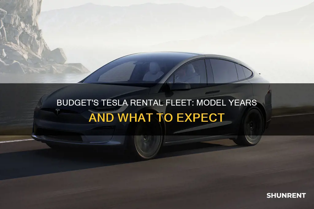 what model year does budget rent out on tesla