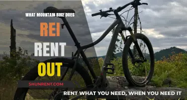 Exploring Trails: REI's Mountain Bike Rental Options Unveiled