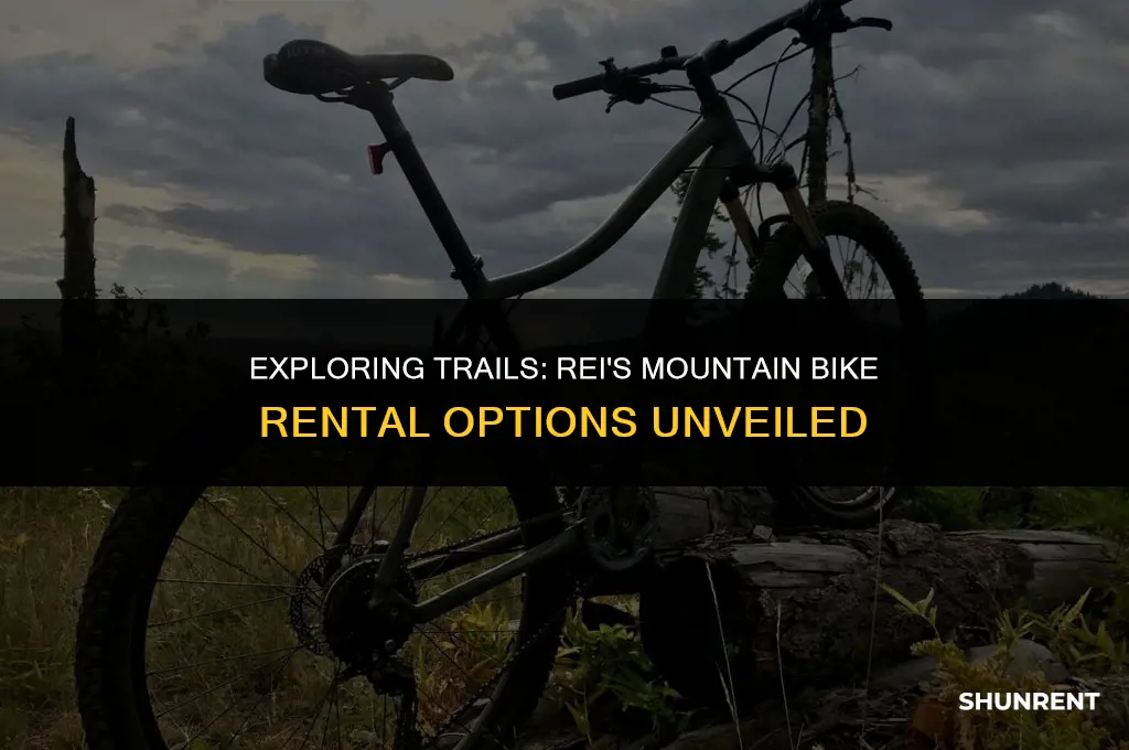 what mountain bike does rei rent out