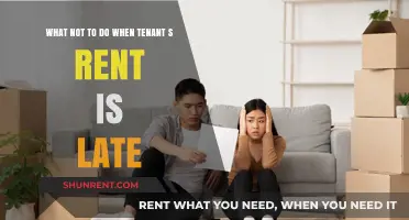 Avoiding Pitfalls: What Landlords Shouldn't Do When Rent is Late