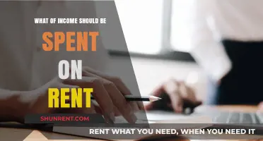 Balancing Your Budget: Ideal Rent-to-Income Ratio for Financial Stability