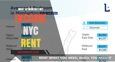 Decoding the Relationship Between Monthly Net Income and NYC Rent
