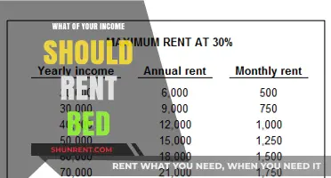 Determining the Ideal Rent-to-Income Ratio for Your Next Apartment