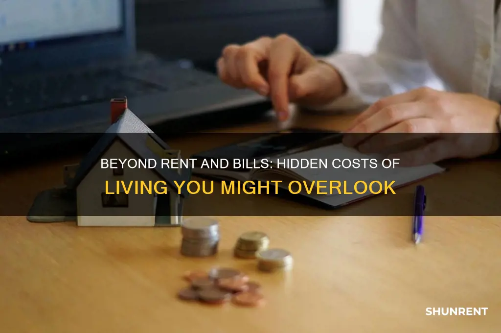 what other expenses could there be from rent and bills
