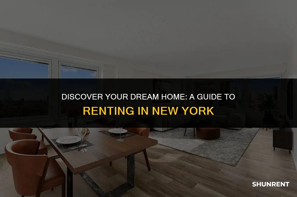 what papers to rent in new york