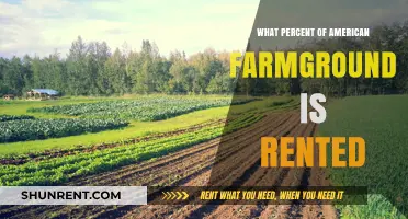 Exploring the Rented Farmland Landscape in America: A Detailed Analysis