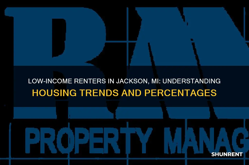what percent of low income people in jackson mi rent