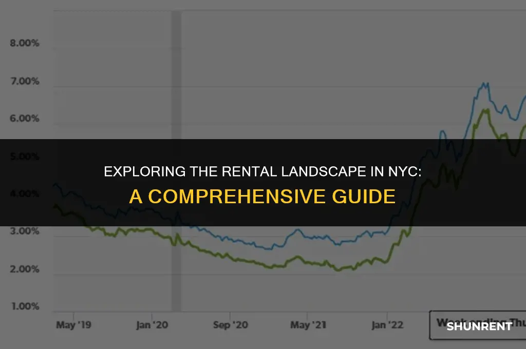 what percentage of people rent in nyc
