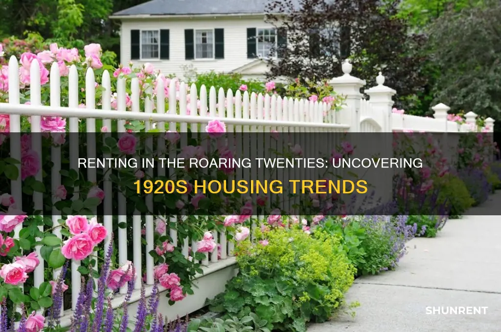 what percentage of people rented in the 1920