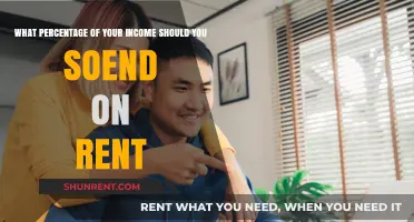 Balancing Your Budget: Ideal Rent-to-Income Ratio for Financial Stability
