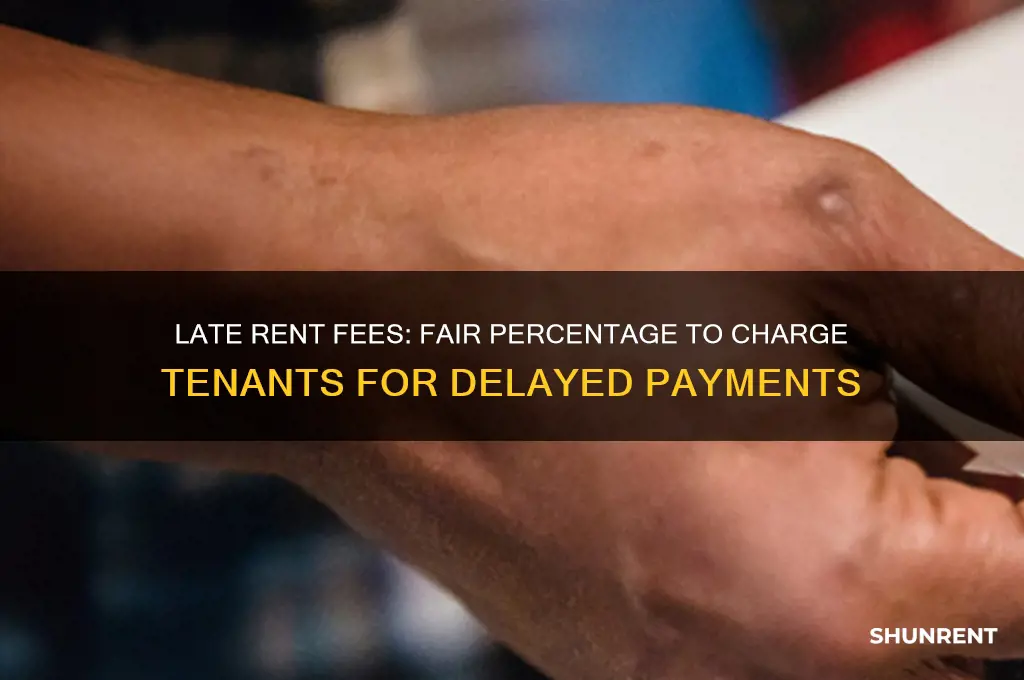what percentage should be charged on late rent