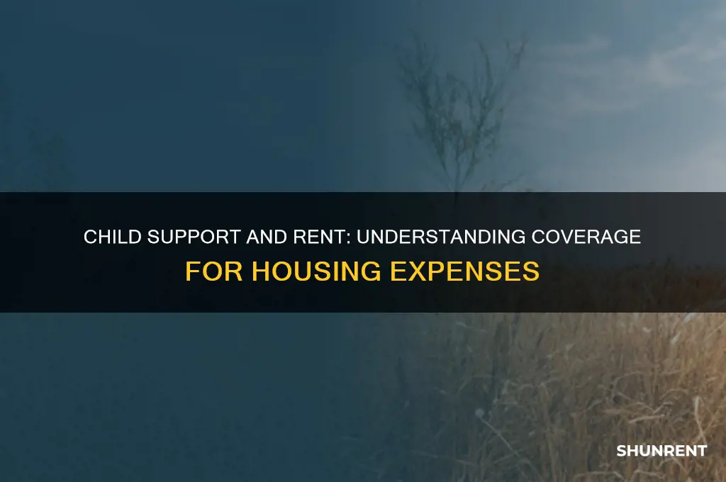 what portion of rent does child support cover