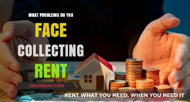 Challenges Landlords Face: Collecting Rent in a Tenant-Centric Market