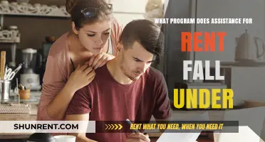 Understanding Rent Assistance: Which Government Program Offers Housing Support?