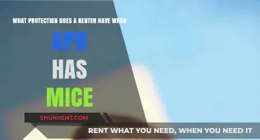 Renters' Rights: Legal Protections Against Mouse Infestations in APR Housing