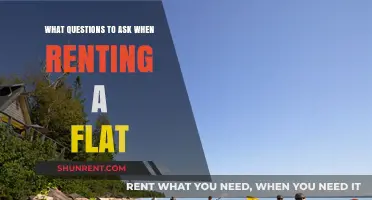 Essential Questions to Ask Before Renting Your Next Flat